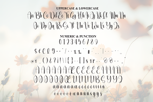 Spring Script Font