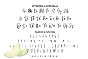 Melonade | Script font, a Script Font by Scratchones (Thumbnail 6 of 8)