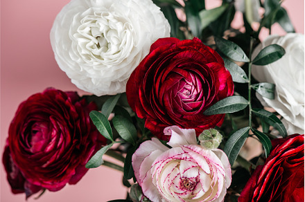 Floral arrangments of tender, a Nature Photo by MAnuta