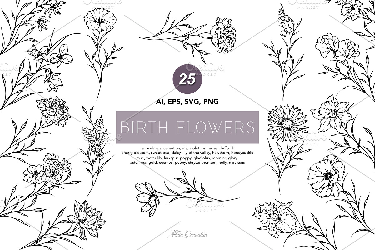Fine Line Birth flowers Collection, an Illustration by CaraulanStore (Photo 1 of 8)