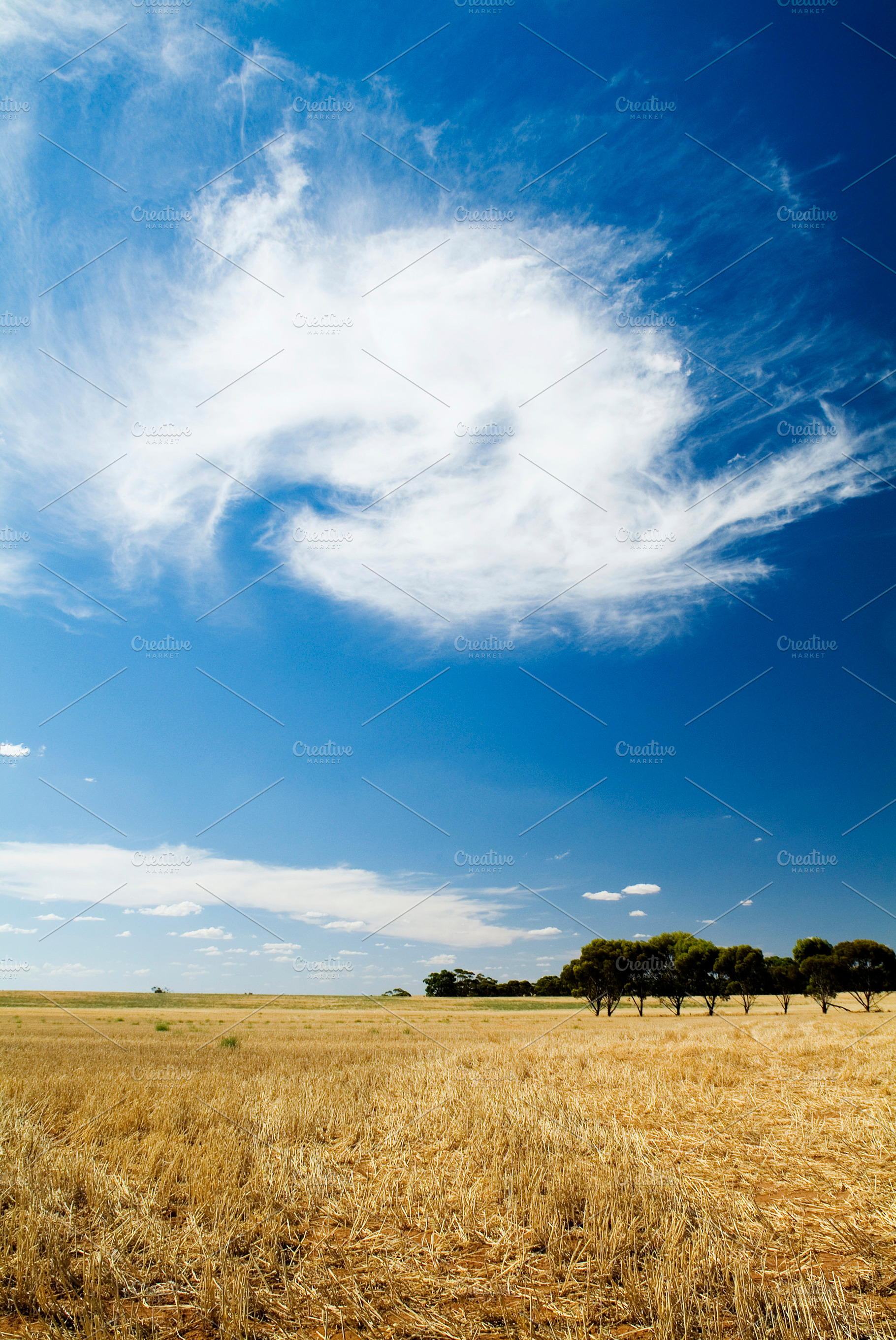 Harvested Field, a Nature Photo by THP Creative