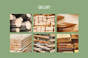 Timber Selling Company Template