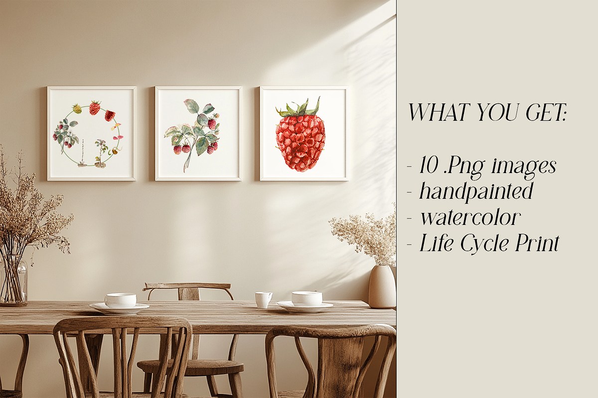 Raspberry Life Cycle Set, an Education Illustration by Tati Bordiu (Photo 2 of 4)