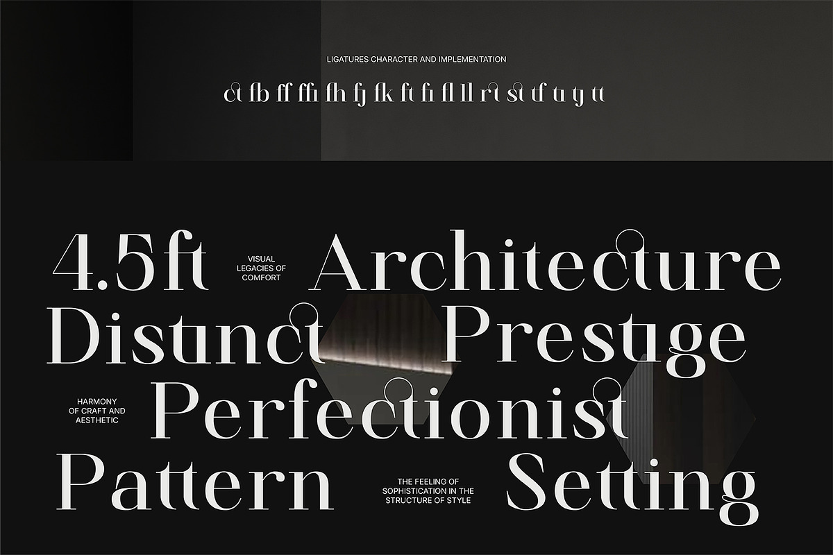 Finico Serif – High-Contrast Serif, a Serif Font by FactoryType Studio (Photo 5 of 11)