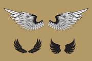 160 Pairs of Vector Wings, an Object Graphic by Damien (Thumbnail 11 of 17)