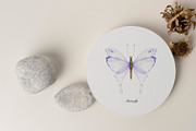 Watercolor Butterfly collection, an Object Illustration by ArtMaslyana (Thumbnail 3 of 9)