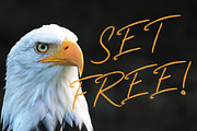 Foxes Typeface, a Serif Font by Shift Studios (Thumbnail 6 of 8)