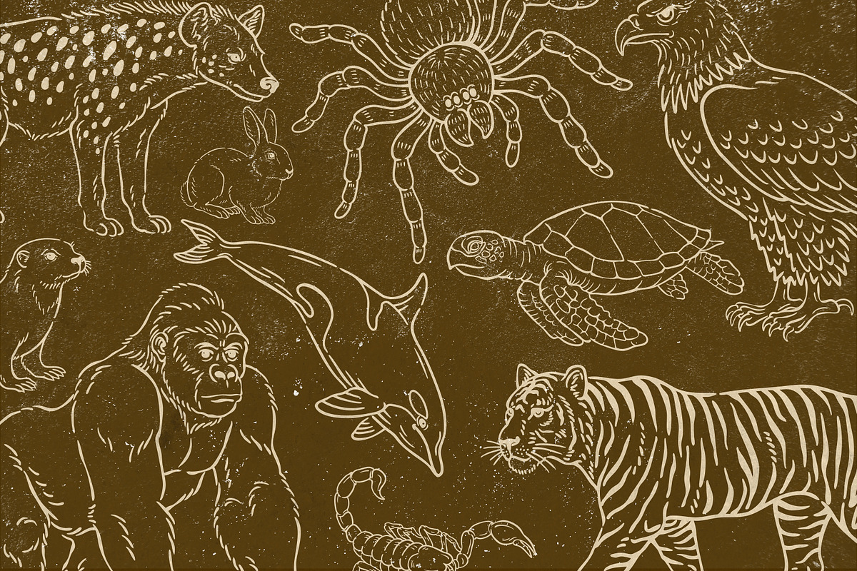 Wild Animals Line Art, an Animal Illustration by Tekuni (Photo 2 of 12)