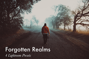 Forgotten Realms-4 Lightroom Presets