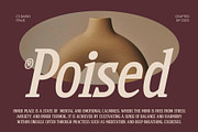 CS Dario – Bold Font, a Serif Font by Craft Supply Co. (Thumbnail 7 of 8)