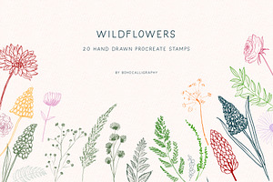 Wildflowers Procreate Stamps