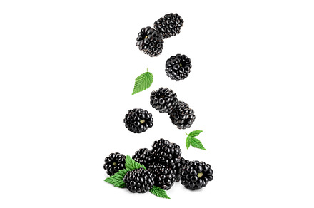 blackberry with leaf isolated on a, a Food & Drink Photo by NataPhoto