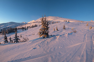 Alpine resort ski slopes and lifts. Pre sunrise morning Svydovet, a Nature Photo by YuriyB