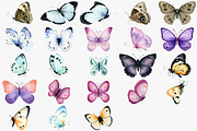 Watercolor Butterfly Clipart Set, an Animal Illustration by CropUp Creative (Thumbnail 3 of 4)