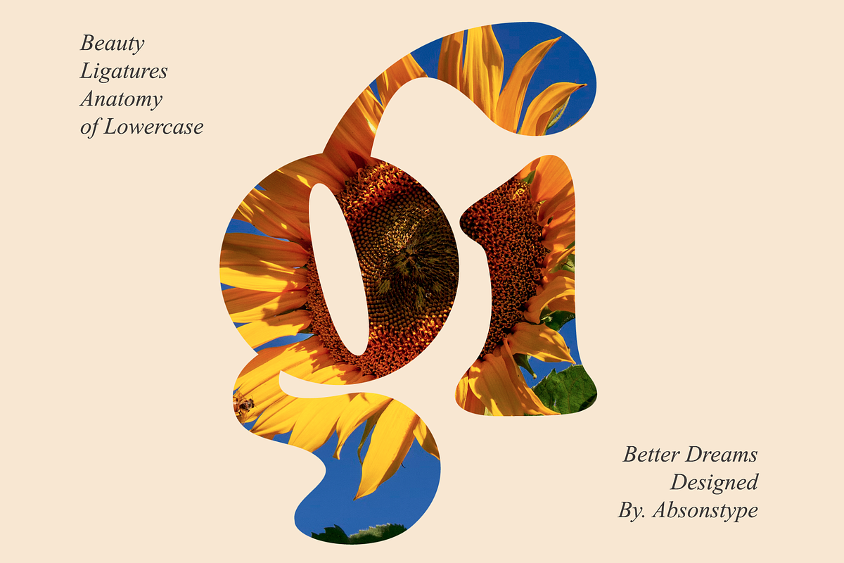 Better Dreams - Absonstype, a Serif Font by Absonstype (Photo 9 of 10)