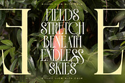 Leodarck New Modern Display Serif, a Serif Font by timelesstype.co (Thumbnail 7 of 20)