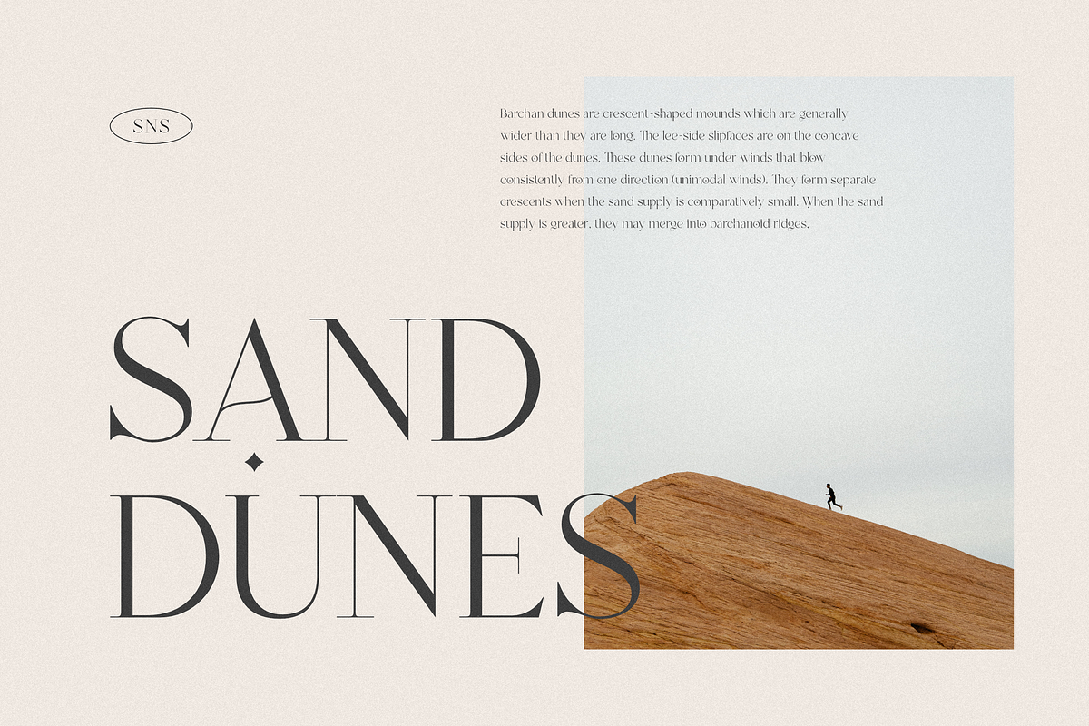 Mango - Modern Serif, a Serif Font by Sans & Sons (Photo 10 of 10)