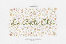 La Belle Chia Handwritten Script