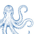 Blue Line Sea Animals PNG Clipart, an Animal Illustration by PatternPalette (Thumbnail 3 of 10)