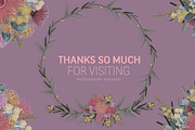 VINTAGE AUSTRALIAN WILDFLOWER SET, an Illustration by Sketchbook Designs (Thumbnail 12 of 12)