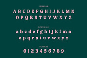 NCL Aekabih Muskey - Retro Groovy, a Serif Font by Enxyclo Studio (Thumbnail 10 of 15)