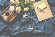 Gamodora, a Script Font by Quothron (Thumbnail 5 of 5)