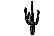 collection of desert cactus silhouet, an Illustration by Amazin_art (Thumbnail 18 of 33)