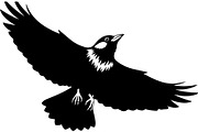 Bird Silhouette Vector Mega Bundle, an Animal Illustration by Designer_Momina (Thumbnail 10 of 21)