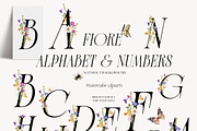 FIORE Bright watercolor flowers, a Decorative Illustration by Grace Noboa Illustrations (Thumbnail 8 of 17)