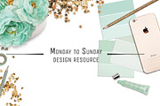 GET IT ALL: Mockups Bundle, a Cups & Container Mockup by Snark Heart (Thumbnail 13 of 25)