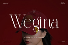 Wegina Minimal Serif Font