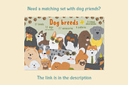 Cat breeds vector clipart, an Object Graphic by Trinibis (Thumbnail 11 of 11)