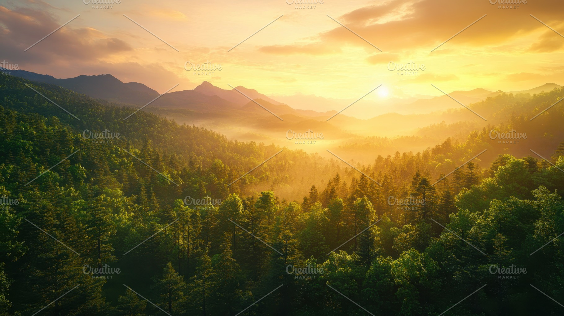 Golden Sunrise Mountain Forest Lands, a Photo by Pixeness Studio