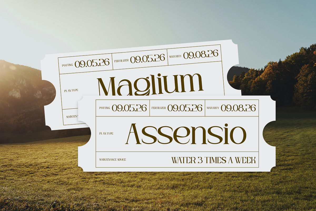 Bagin Font | Modern Editorial Serif, a Serif Font by Koplexs Studio (Photo 11 of 12)