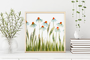 Watercolor Flowers - Chamomile, an Illustration by swiejko (Thumbnail 2 of 6)