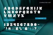 Radley Creative Font, a Script Font by Catalystco Studio (Thumbnail 2 of 7)