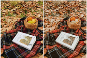 30  MOODY AUTUMN PRESETS, a Preset Add-On by Victoria Bee Presets (Thumbnail 7 of 14)