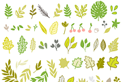 Floral illustrations, vector objects, an Object Graphic by bigmomentsdesign (Thumbnail 4 of 8)