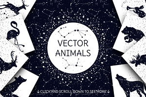 Vector Stars And Animals