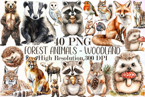 Forest Animals - Woodland Clipart, an Illustration by Sublimation Artist