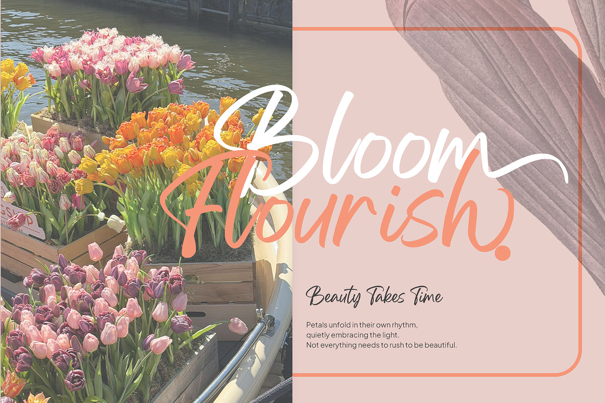 Gellatio - Chic Brush Font, a Script Font by din-studio.com (Photo 8 of 16)