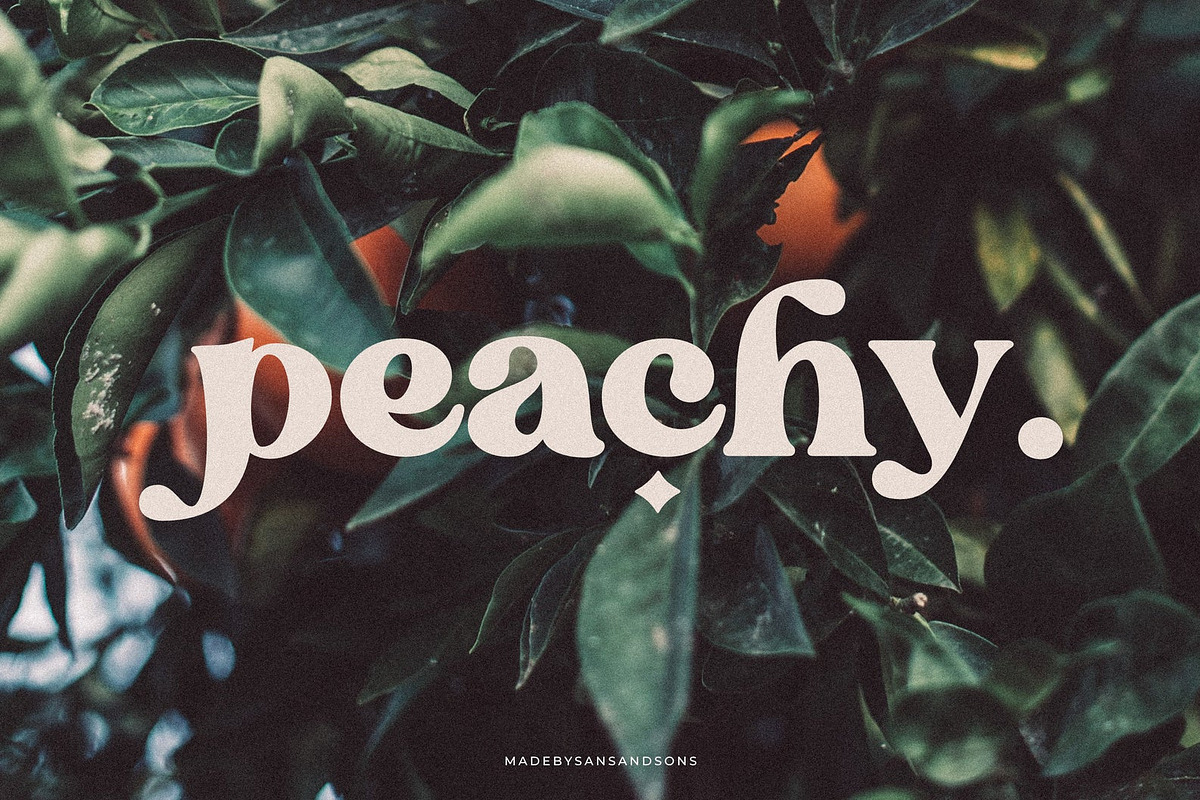 Blanch Sage - Retro Font, a Serif Font by Sans & Sons (Photo 1 of 10)