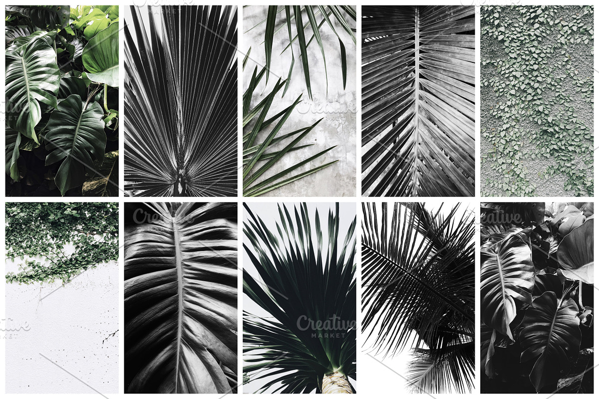 98% OFF | Tropical Bundle | 170 IN 1, a Photo by Floral Deco (Photo 10 of 14)