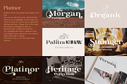 Elegant Serif Bundle, a Serif Font by Larin Type Co. (Thumbnail 15 of 18)