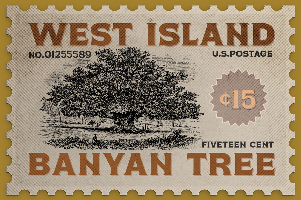 Silvano Western - Display Typeface, a Font by Letterhend Studio (Photo 9 of 9)
