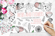 Floral Elements. Seamless Patterns., an Illustration by Diana Kovach (Thumbnail 1 of 10)