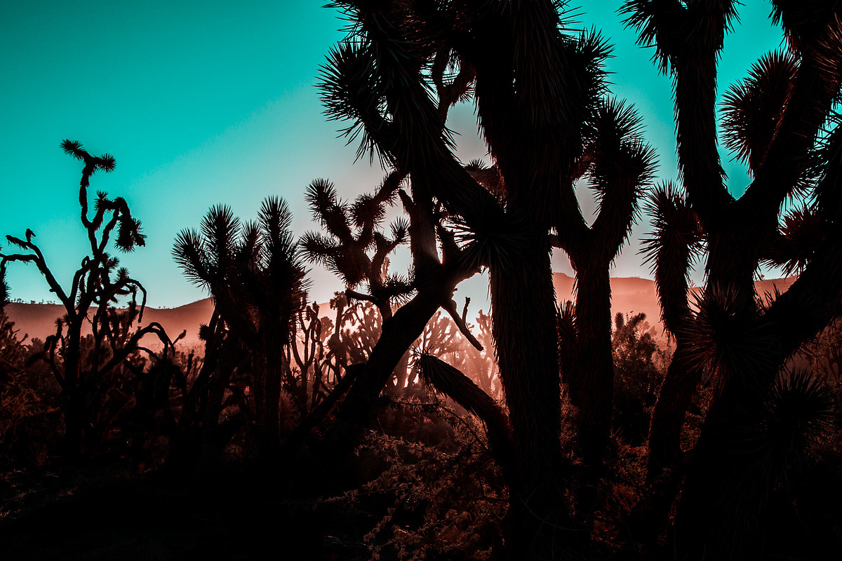 Orange & Teal Lightroom Presets, an Action Add-On by PhotoMarket (Photo 4 of 42)