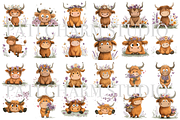 30 Floral Highland Cow Clipart, an Animal Illustration by Pati Charm Studio (Thumbnail 2 of 8)