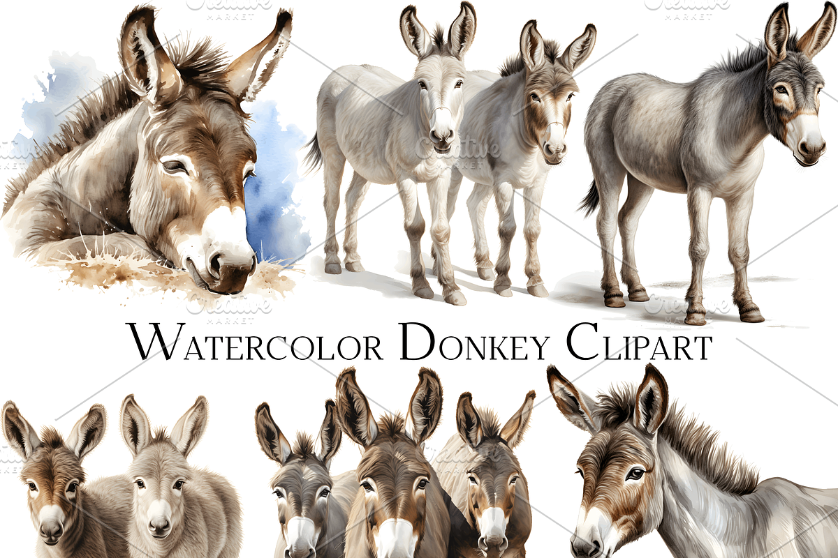 Watercolor Donkey Clipart, an Object Graphic by ArtisticTimberStudio (Photo 1 of 2)