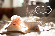 Premium Photography Premade Logo, a Branding & Logo Template by SweetShutterStyle (Thumbnail 2 of 3)